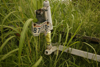 All Images are © Susan May Tell. All Rights Reserved. No reproduction without written authorization of Susan May Tell.