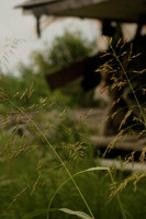 All Images are © Susan May Tell. All Rights Reserved. No reproduction without written authorization of Susan May Tell.