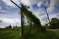 All Images are © Susan May Tell. All Rights Reserved. No reproduction without written authorization of Susan May Tell.