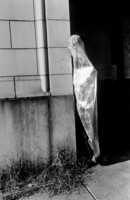 All Images are © Susan May Tell. All Rights Reserved. No reproduction without written authorization of Susan May Tell.