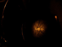 All Images are © Susan May Tell. All Rights Reserved. No reproduction without written authorization of Susan May Tell.