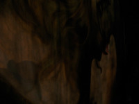 All Images are © Susan May Tell. All Rights Reserved. No reproduction without written authorization of Susan May Tell.