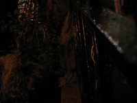 All Images are © Susan May Tell. All Rights Reserved. No reproduction without written authorization of Susan May Tell.