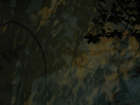 All Images are © Susan May Tell. All Rights Reserved. No reproduction without written authorization of Susan May Tell.