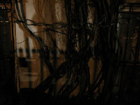All Images are © Susan May Tell. All Rights Reserved. No reproduction without written authorization of Susan May Tell.