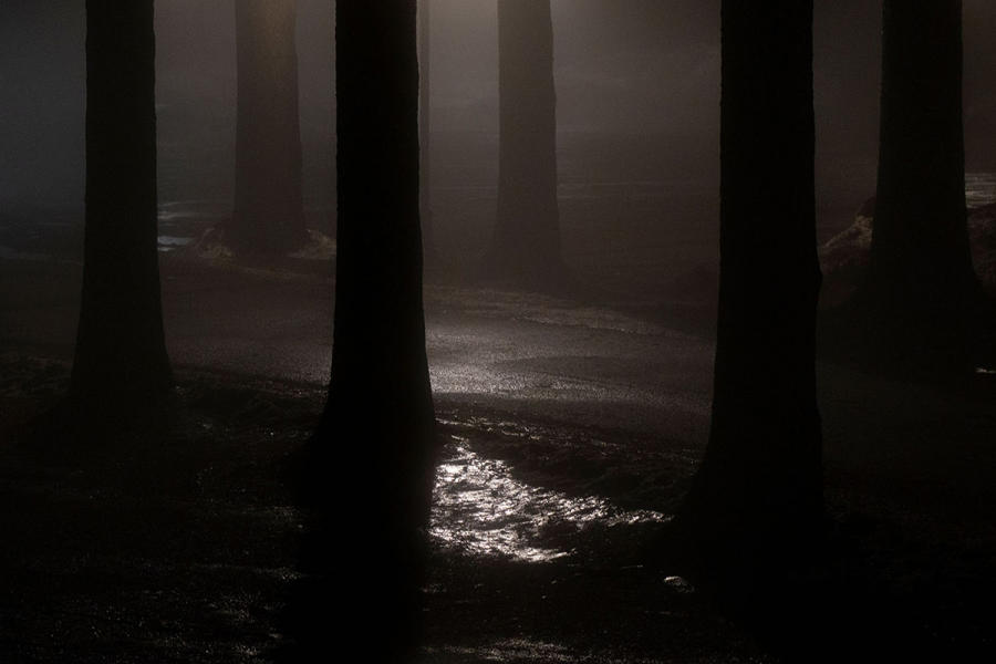  : A TAPESTRY: Ode to Lyrical Nature : SUSAN MAY TELL: Photographs of Space, Silence & Solitude