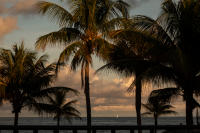 ALL PHOTOGRAPHS ON THIS SITE ARE © SUSAN MAY TELL. ALL RIGHTS RESERVED. NO REPRODUCTION OF ANY IMAGES ALLOWED WITHOUT WRITTEN AUTHORIZATION BY SUSAN MAY TELL. 