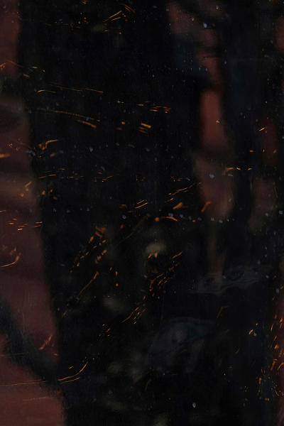 Urban Tree : A TAPESTRY: Ode to Lyrical Nature : SUSAN MAY TELL: Photographs of Space, Silence & Solitude