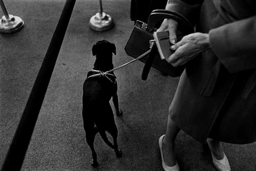 Woman clutches bank book and dog : STRUCTURED MOMENTS : SUSAN MAY TELL: Photographs of Space, Silence & Solitude