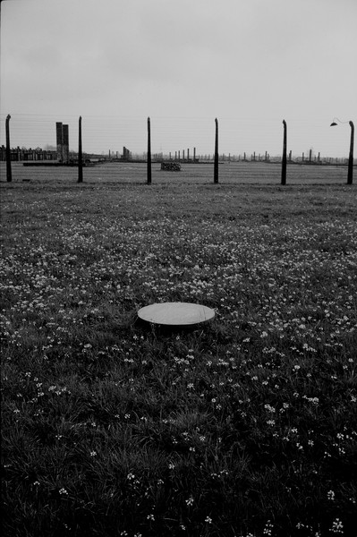 Untitled 13 : A Requiem: tribute to the spiritual space at Auschwitz : SUSAN MAY TELL: Photographs of Space, Silence & Solitude