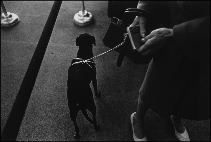 Woman with bank book and dog : Structured Moments : SUSAN MAY TELL: Photographs of Space, Silence & Solitude