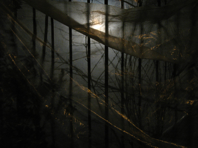 Untitled_31 : New Projects : SUSAN MAY TELL: Photographs of Space, Silence & Solitude