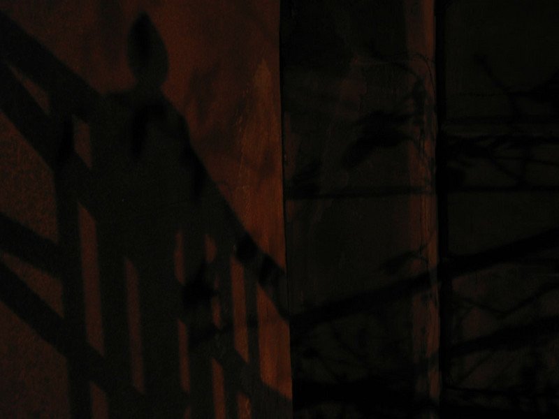 Shadow Man (2008) : New Projects : SUSAN MAY TELL: Photographs of Space, Silence & Solitude